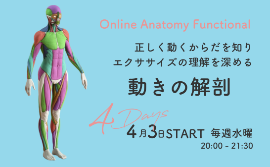 Online Anatomy Functional 動きの解剖　4/3スタート　